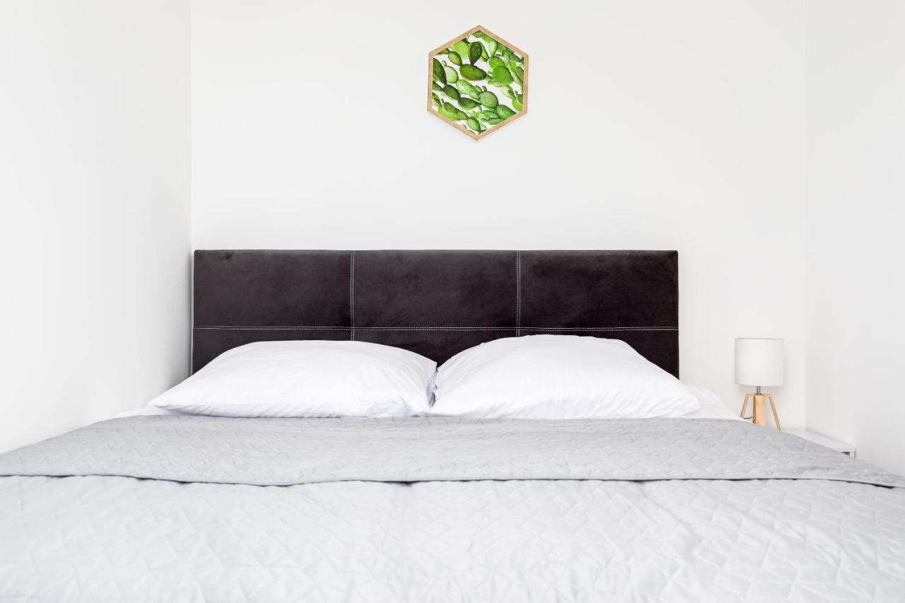 Przytulny Apartament 62 Centrum Szczecina 外观 照片